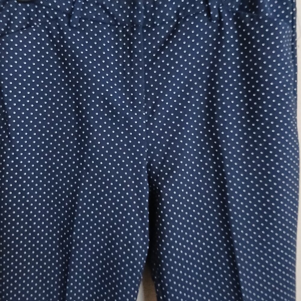 Seventh Ave Blue Polka Dot Pants - Picture 2 of 5